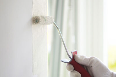 Sparmåla med Anza Titex miniroller